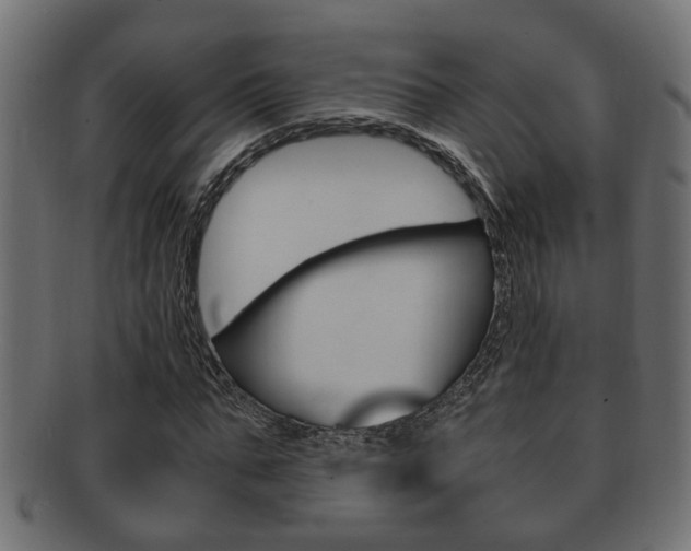 X0000092310871200709141029