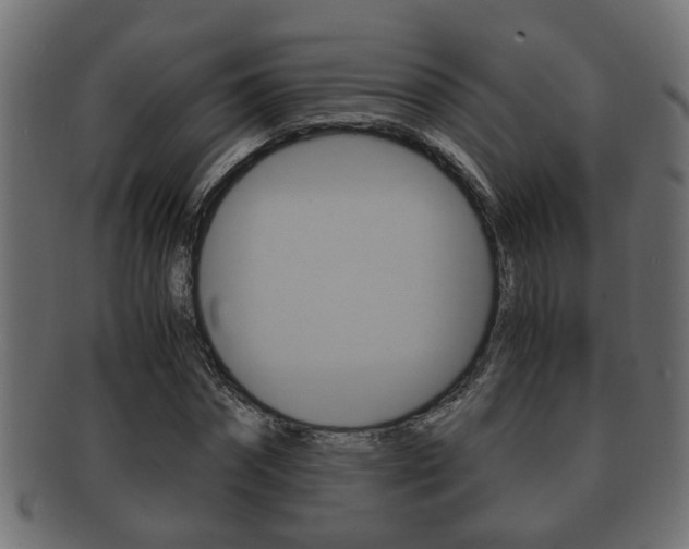 X0000092310874200709141029