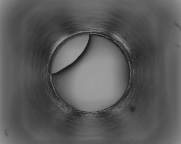X0000092310875200709141029