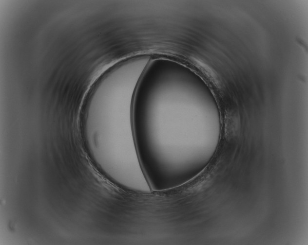 X0000092310876200709141029
