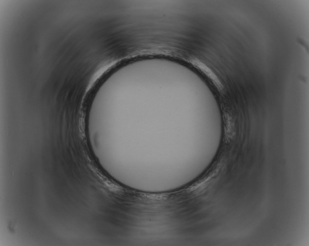 X0000092310878200709141029
