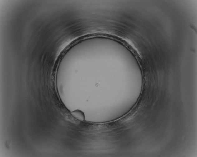 X0000092310879200709141029