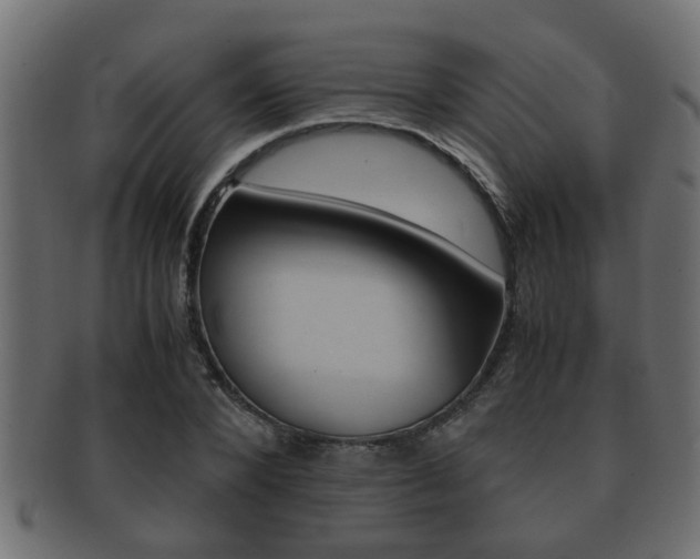 X0000092310880200709141029