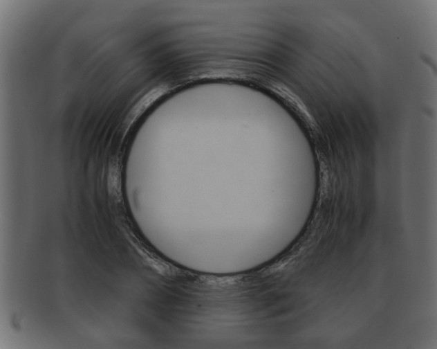 X0000092310882200709141029
