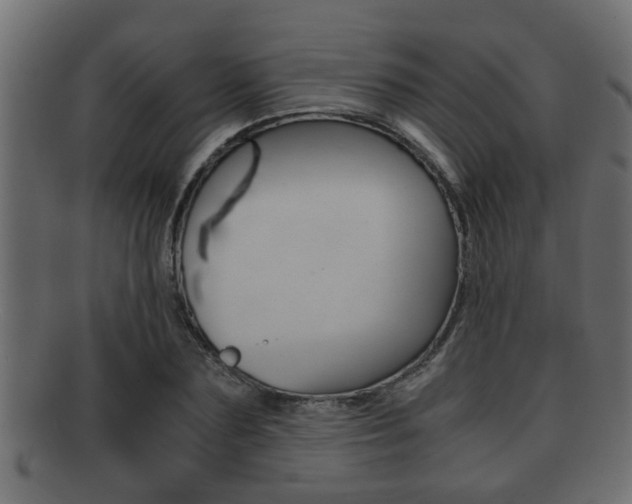 X0000092310883200709141029