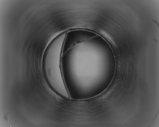 X0000092310884200709141029