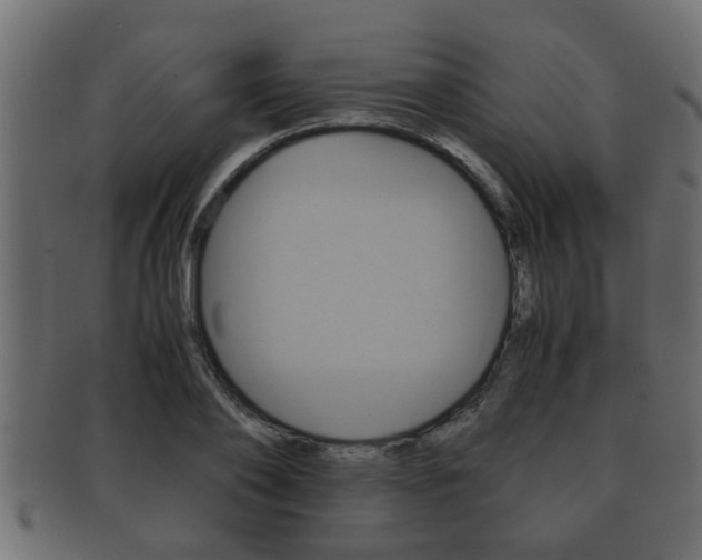 X0000092310886200709141029