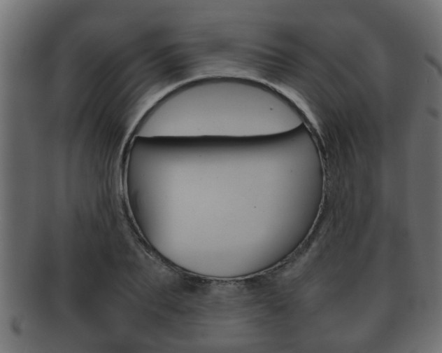 X0000092310887200709141029
