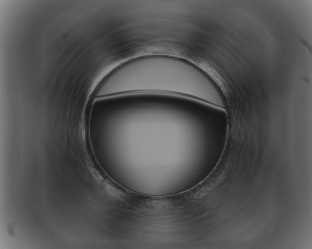 X0000092310888200709141029