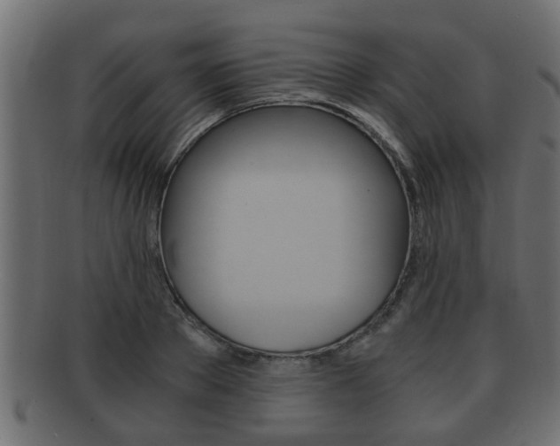 X0000092310889200709141029
