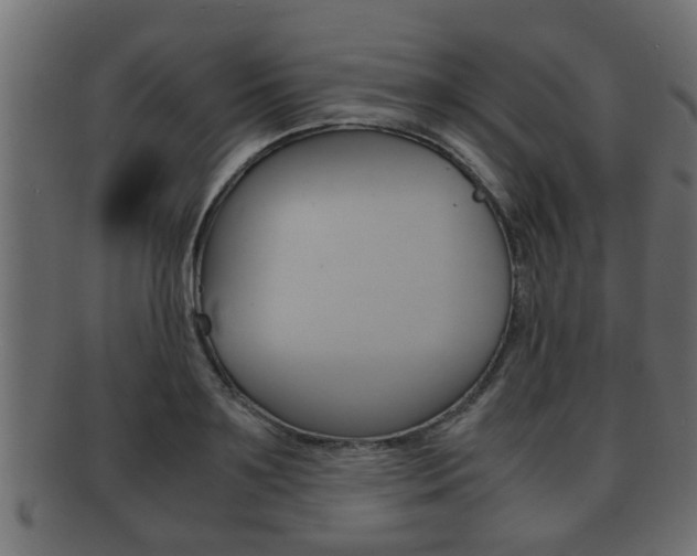 X0000092310891200709141028