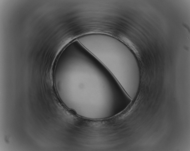X0000092310892200709141028