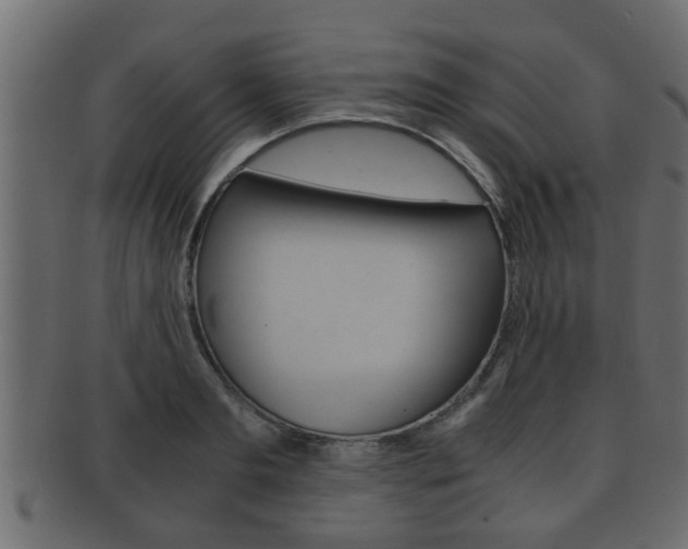 X0000092310893200709141028