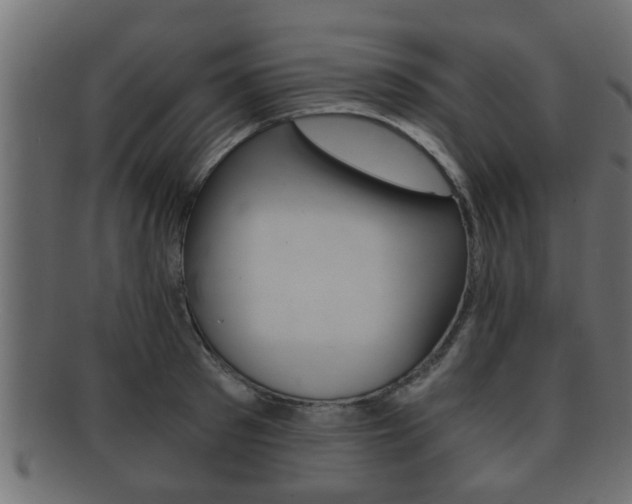 X0000092310897200709141028