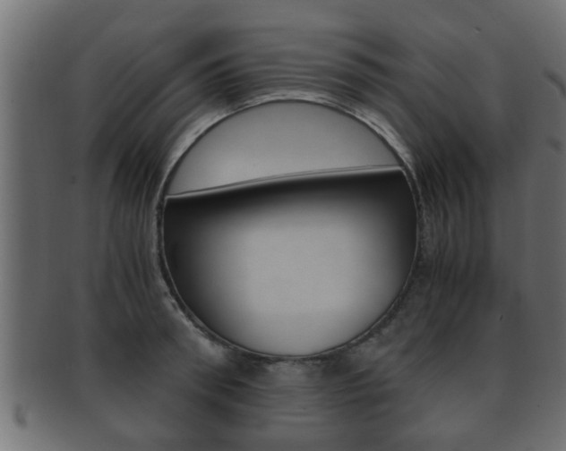 X0000092310898200709141028
