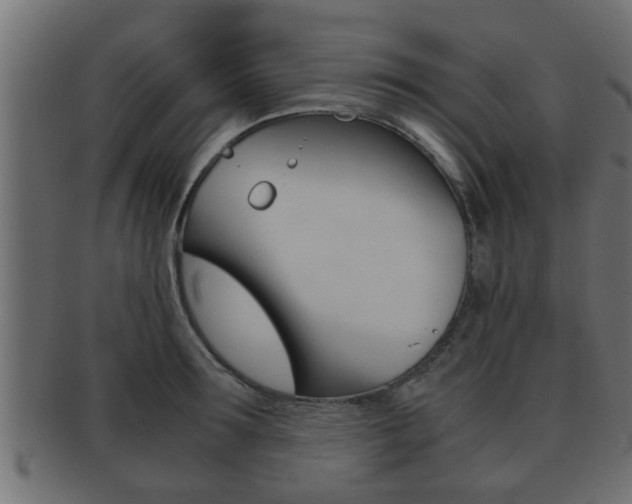 X0000092310899200709141028