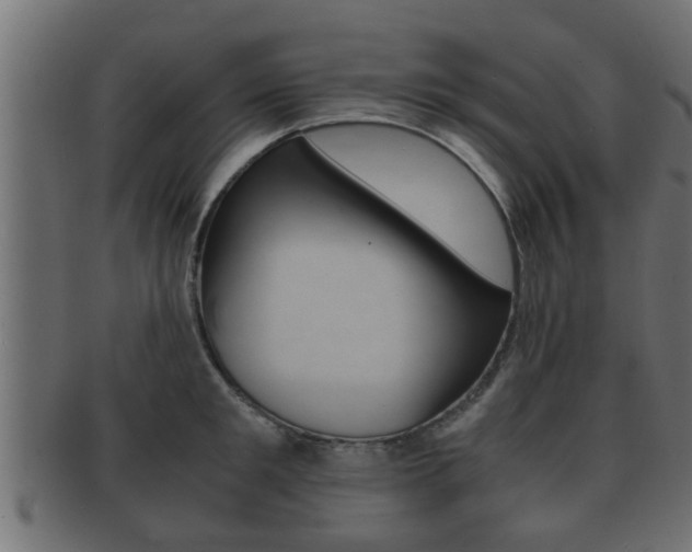 X0000092310901200709141028