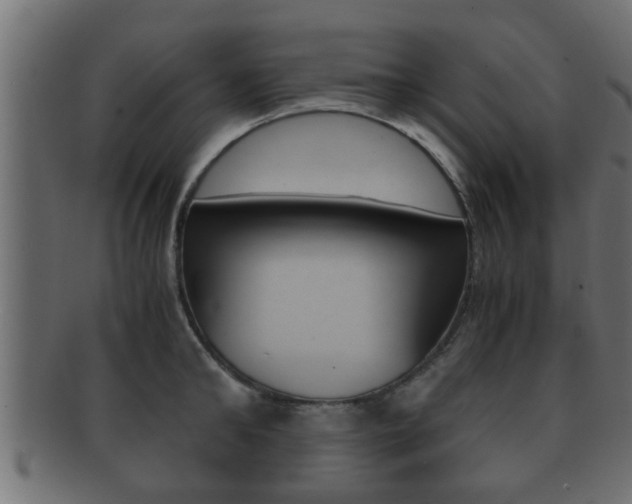 X0000092310902200709141028
