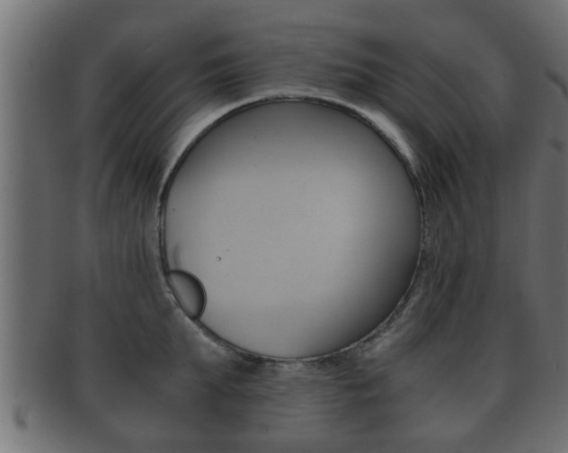 X0000092310903200709141028