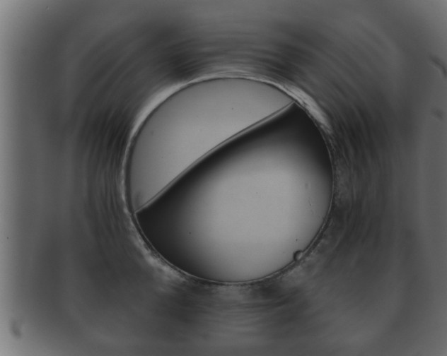 X0000092310904200709141028
