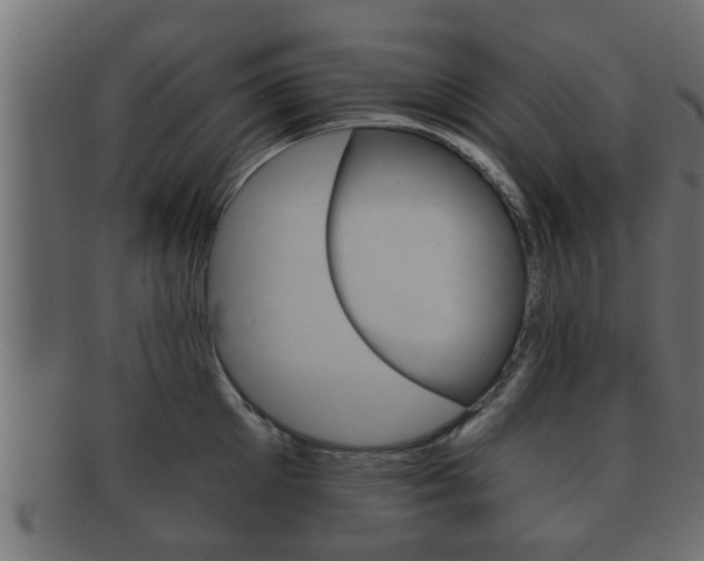 X0000092310905200709141028