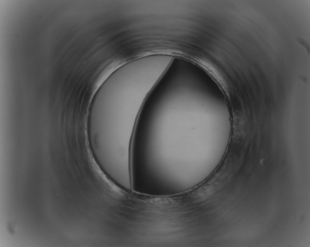 X0000092310906200709141028