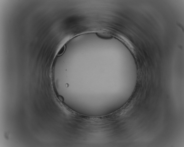 X0000092310907200709141028