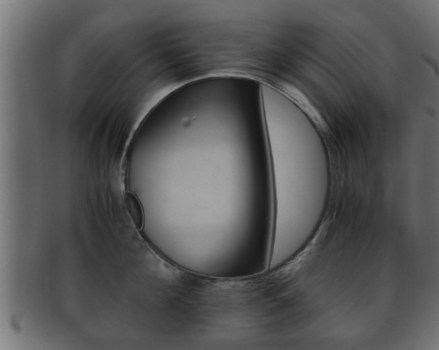 X0000092310908200709141028
