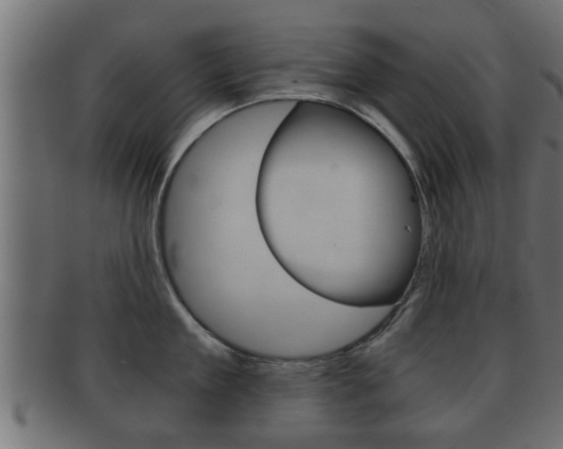 X0000092310909200709141028