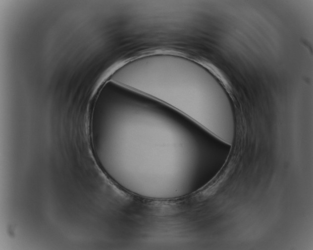 X0000092310910200709141028