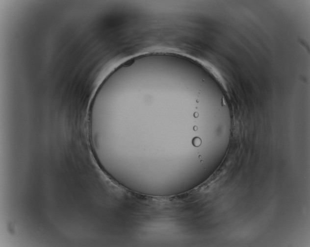 X0000092310911200709141028