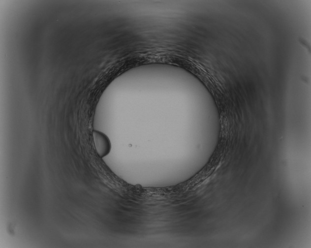 X0000092310913200709141028