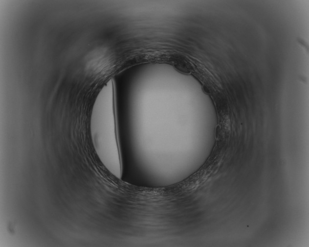 X0000092310914200709141028
