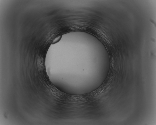 X0000092310915200709141028