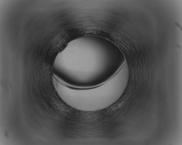 X0000092310916200709141028