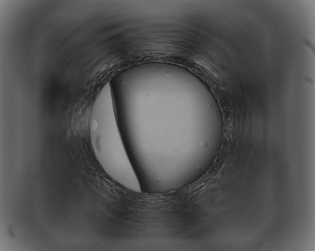 X0000092310917200709141028