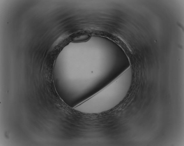 X0000092310919200709141028