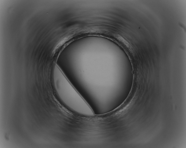 X0000092310922200709141028