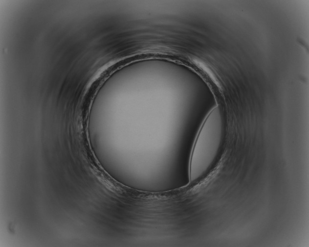 X0000092310923200709141028