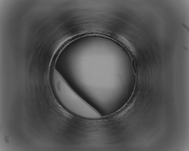 X0000092310924200709141028