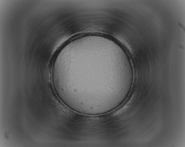 X0000092310925200709141028