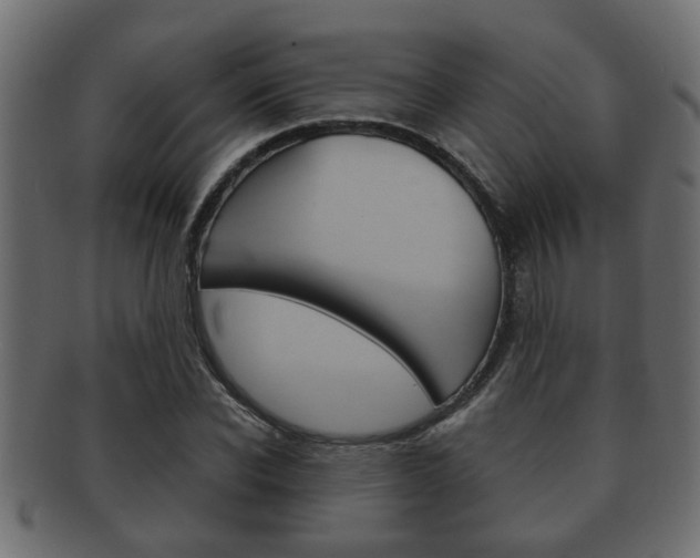 X0000092310926200709141028