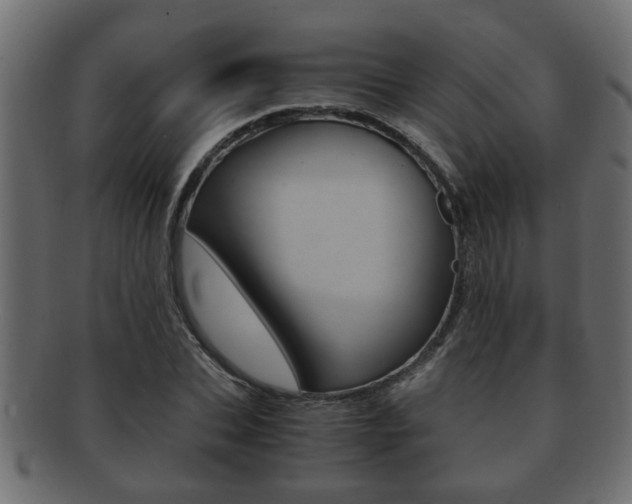 X0000092310927200709141028