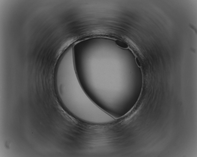 X0000092310930200709141028