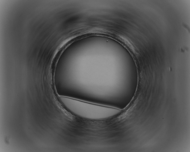 X0000092310931200709141028
