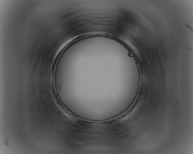 X0000092310933200709141028