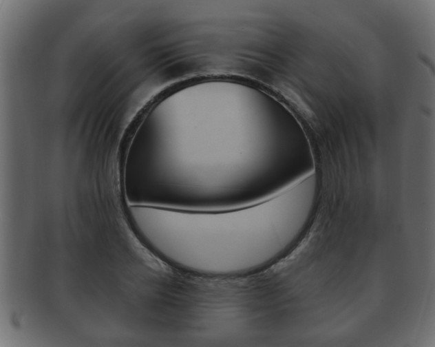 X0000092310934200709141028