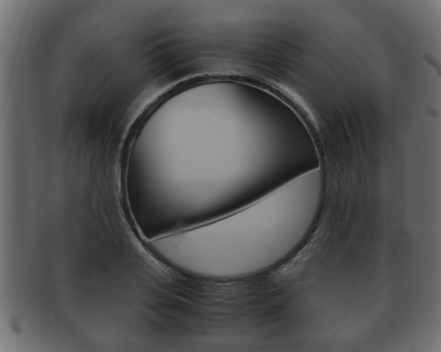 X0000092310935200709141028