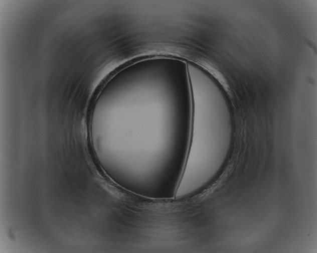 X0000092310936200709141028