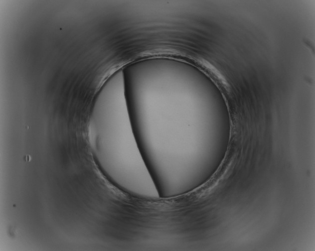 X0000092310937200709141028